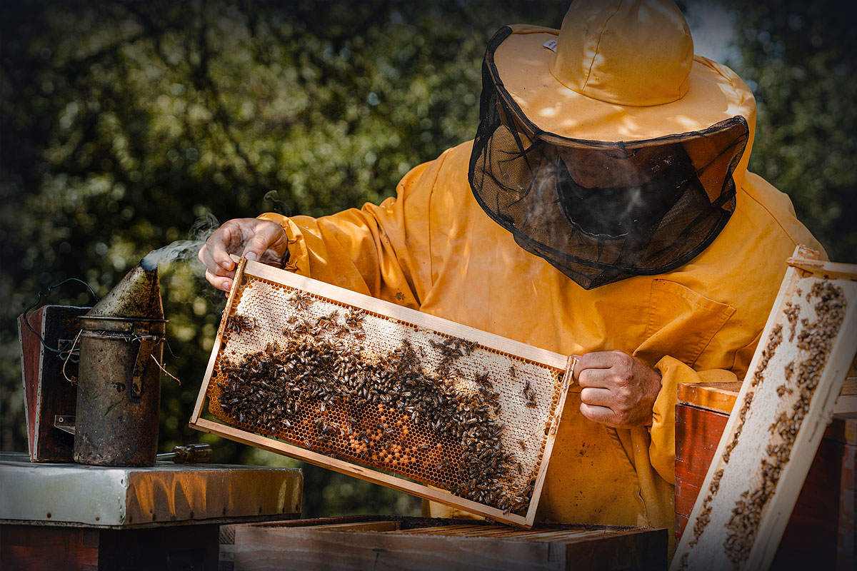 Varzak Honey